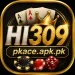 Hi309
